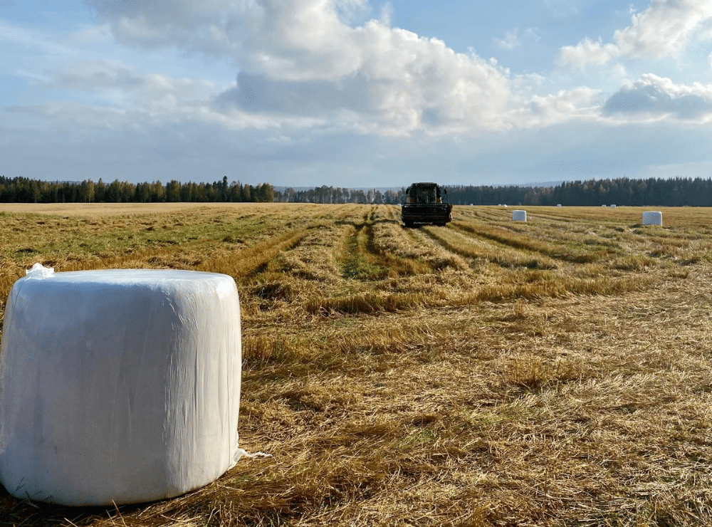 Elorinteen-tila-viljely-Puimuri Comia Puimuri viljapellolla edessa viljapaali paketissa.