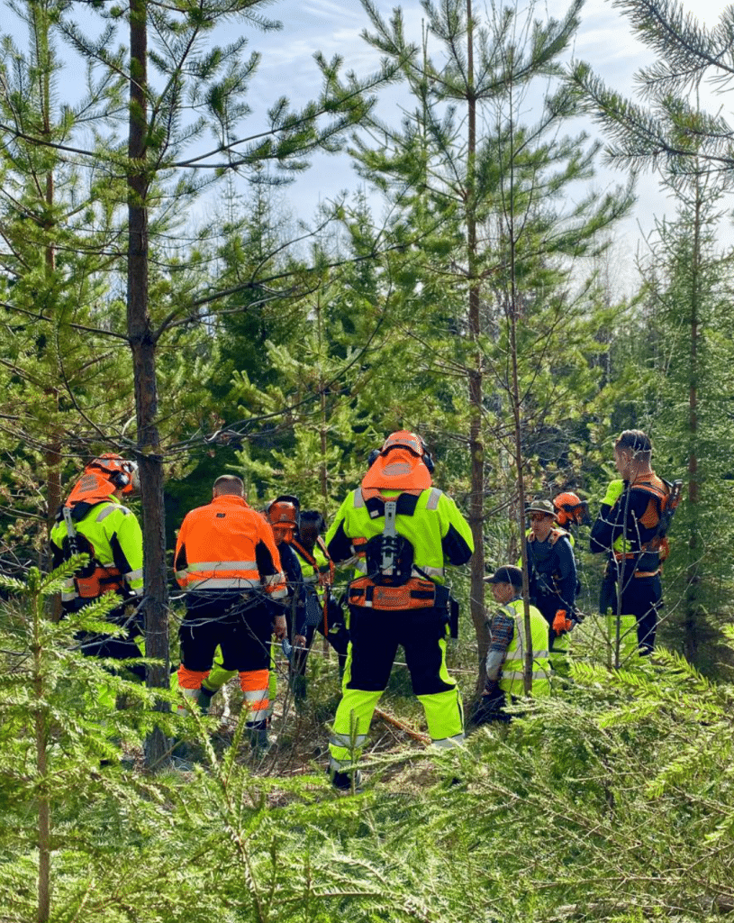 Mieslahden-Metsatyo-metsureiden-perehdytys-kauden-alussa Metsureiden perehdytys metsassa.
